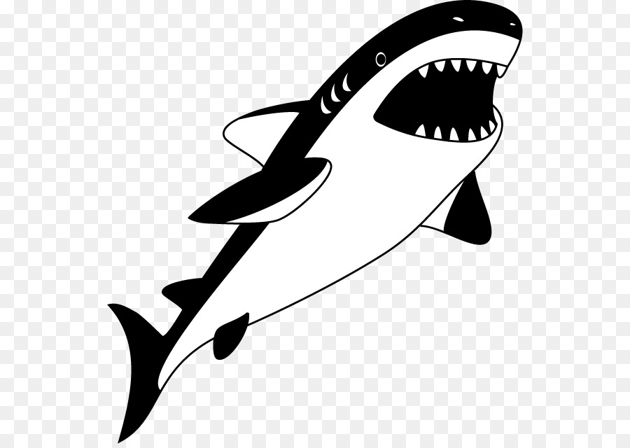Tubarão，Tubarão Baleia PNG