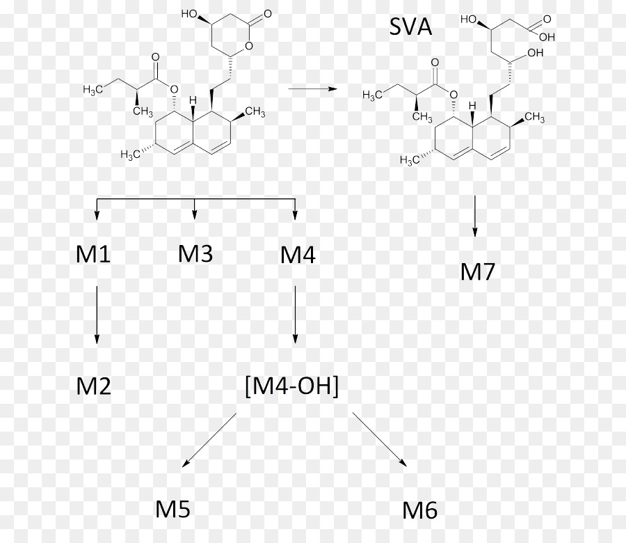 Estrutura Química，Molécula PNG