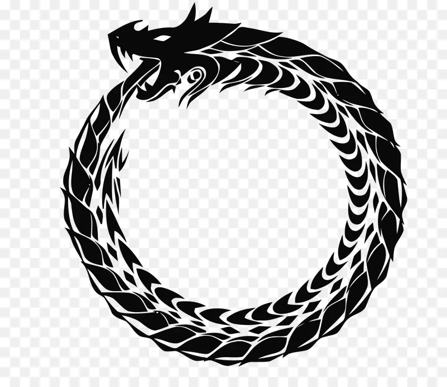 Ouroboros，Dragão PNG