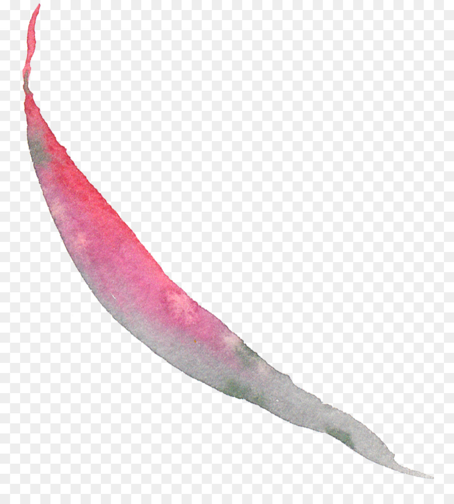 Rosa M，Peixe PNG