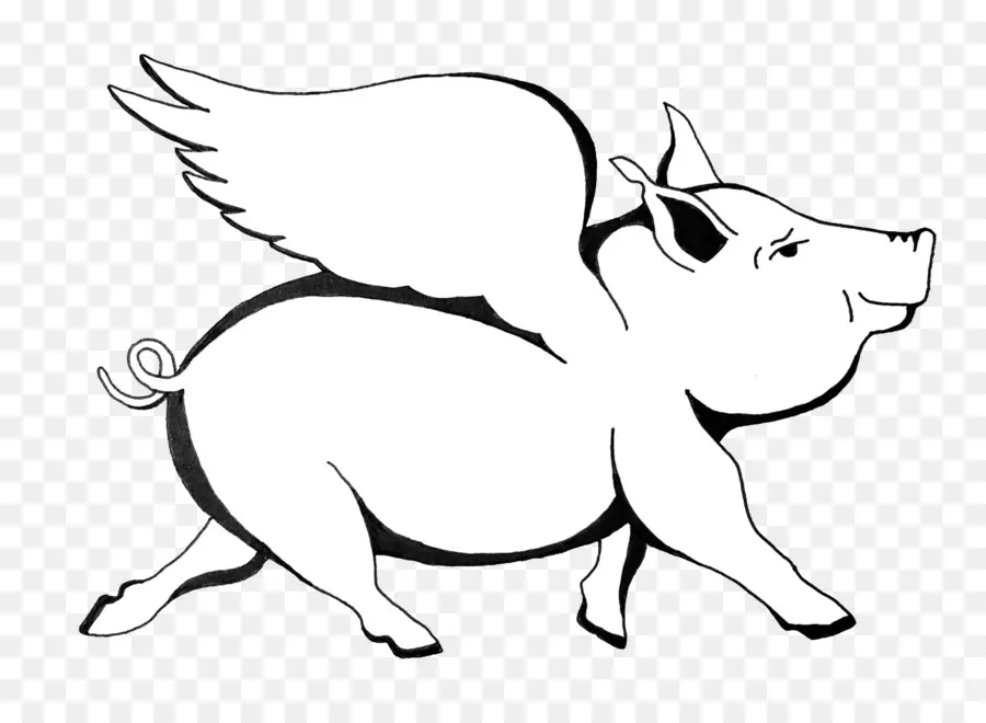 Maratona De Flying Pig，Porco PNG