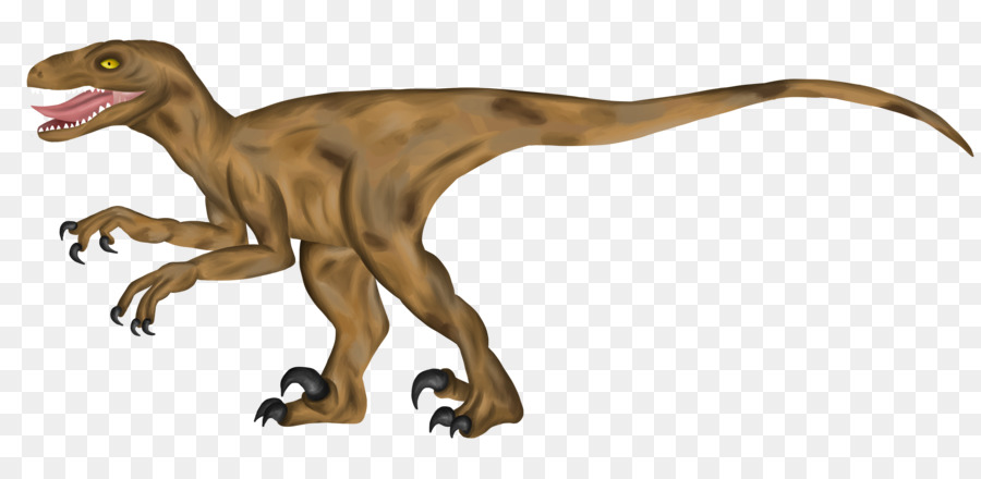 Velociraptor，Tiranossauro PNG