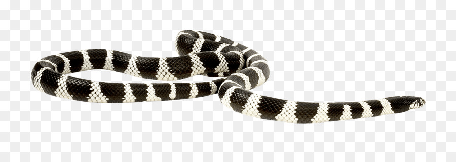 Cobras，Preto E Branco PNG