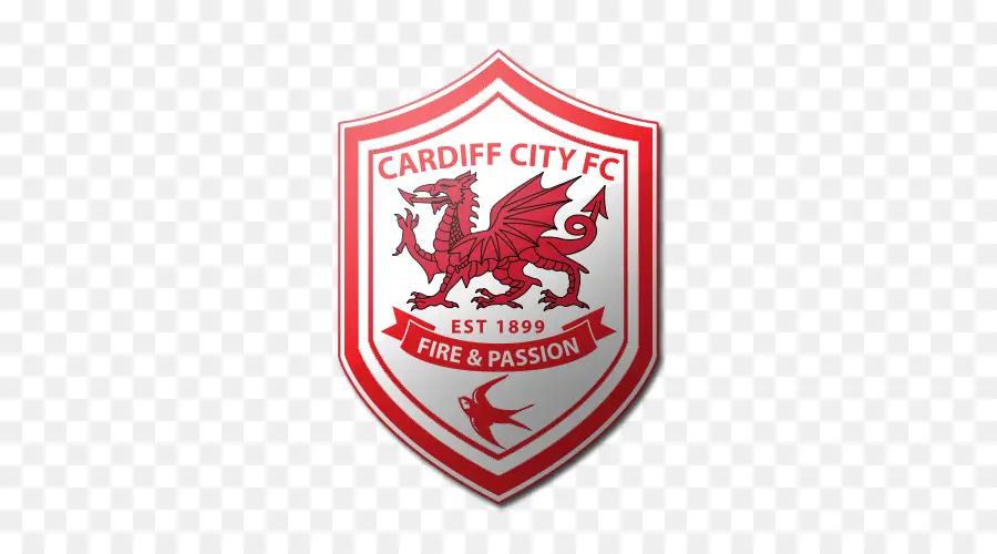 Cardiff City Fc，Futebol PNG