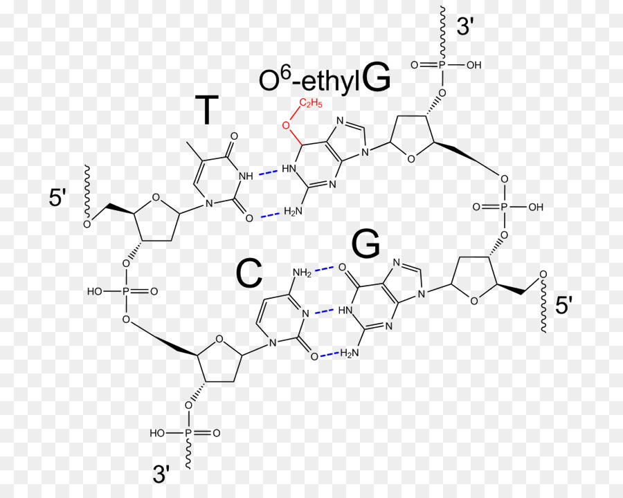 M02csf，Diagrama De PNG