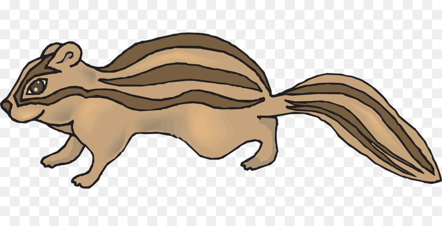 Desenho De Esquilo，Animal PNG