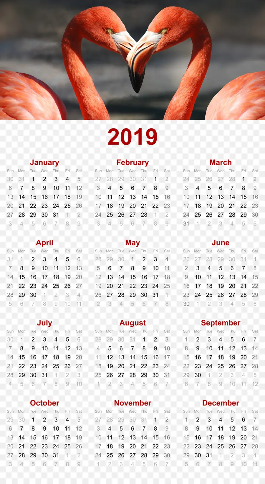 Calendário，2019 PNG