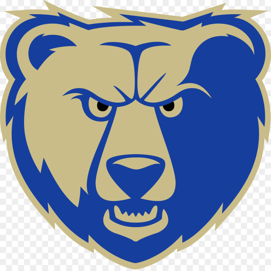 Logotipo Do Urso，Urso PNG