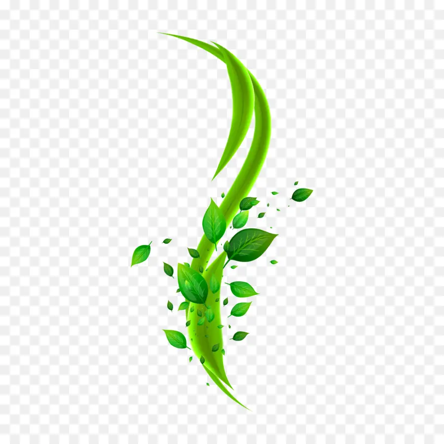 Folha Verde，Plantar PNG