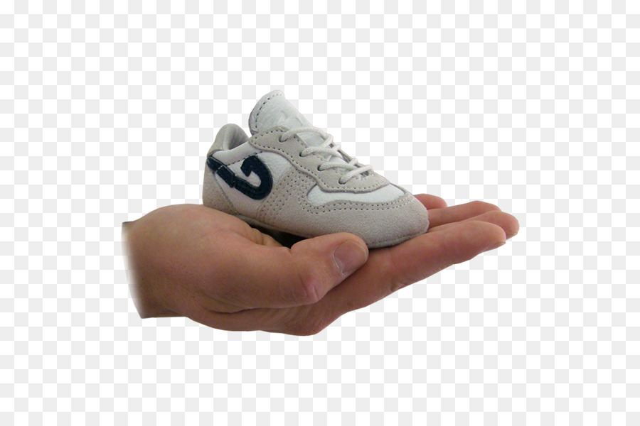 Sneakers，Sapato PNG