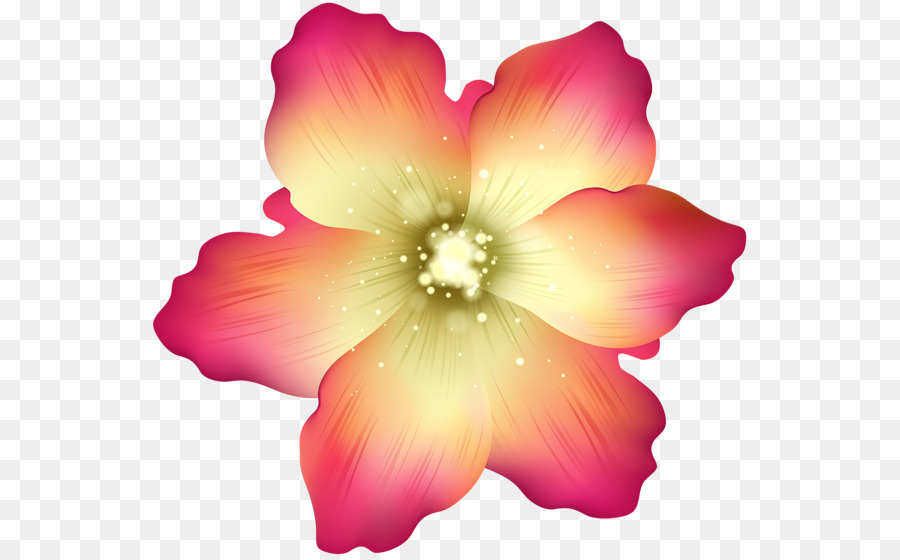 Flor，Florescer PNG