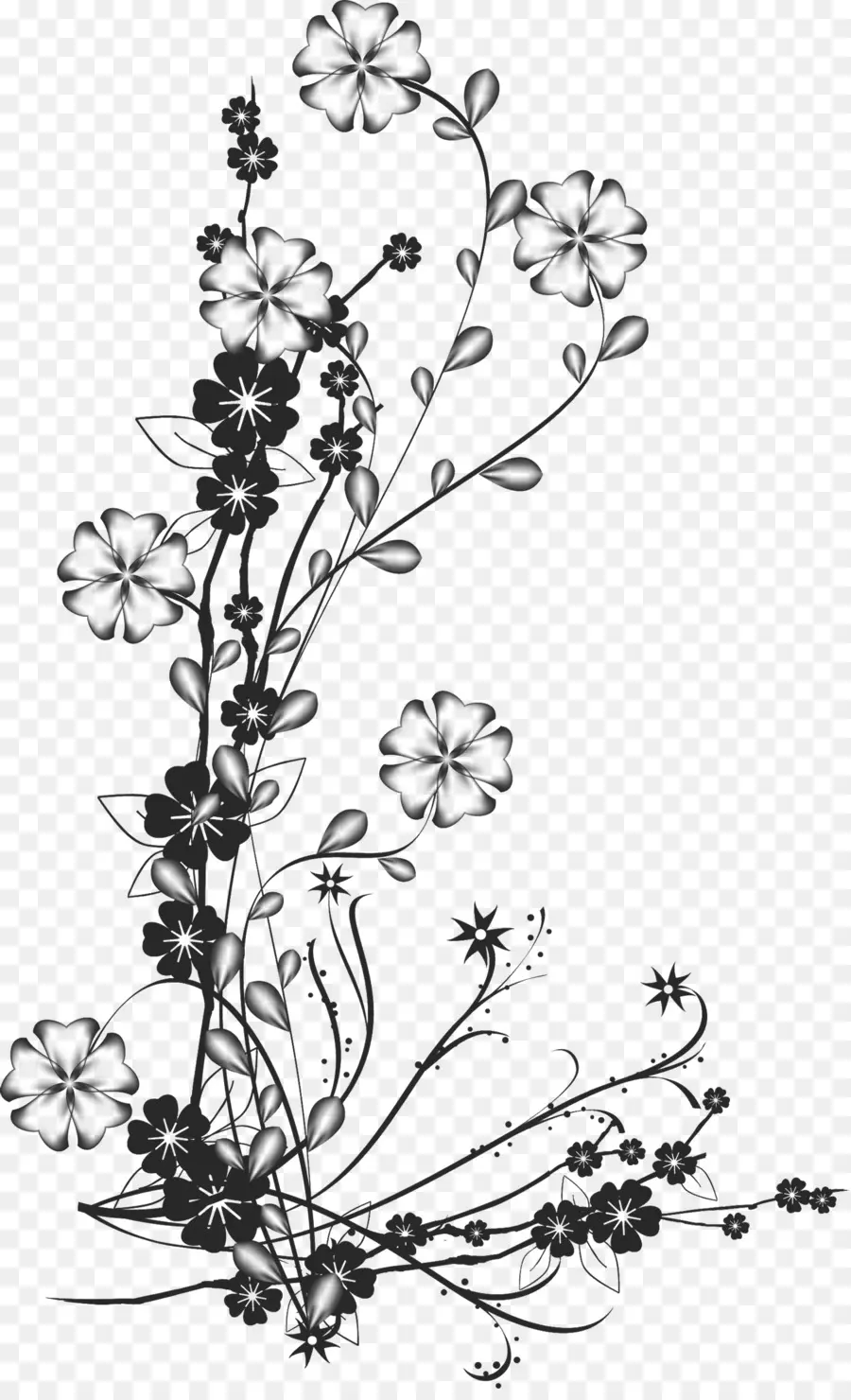 Desenho Floral，Preto PNG