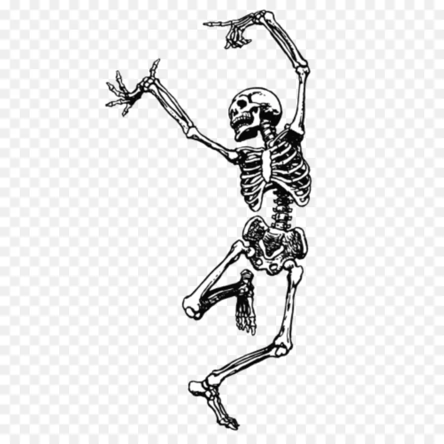 Dança，Esqueleto PNG