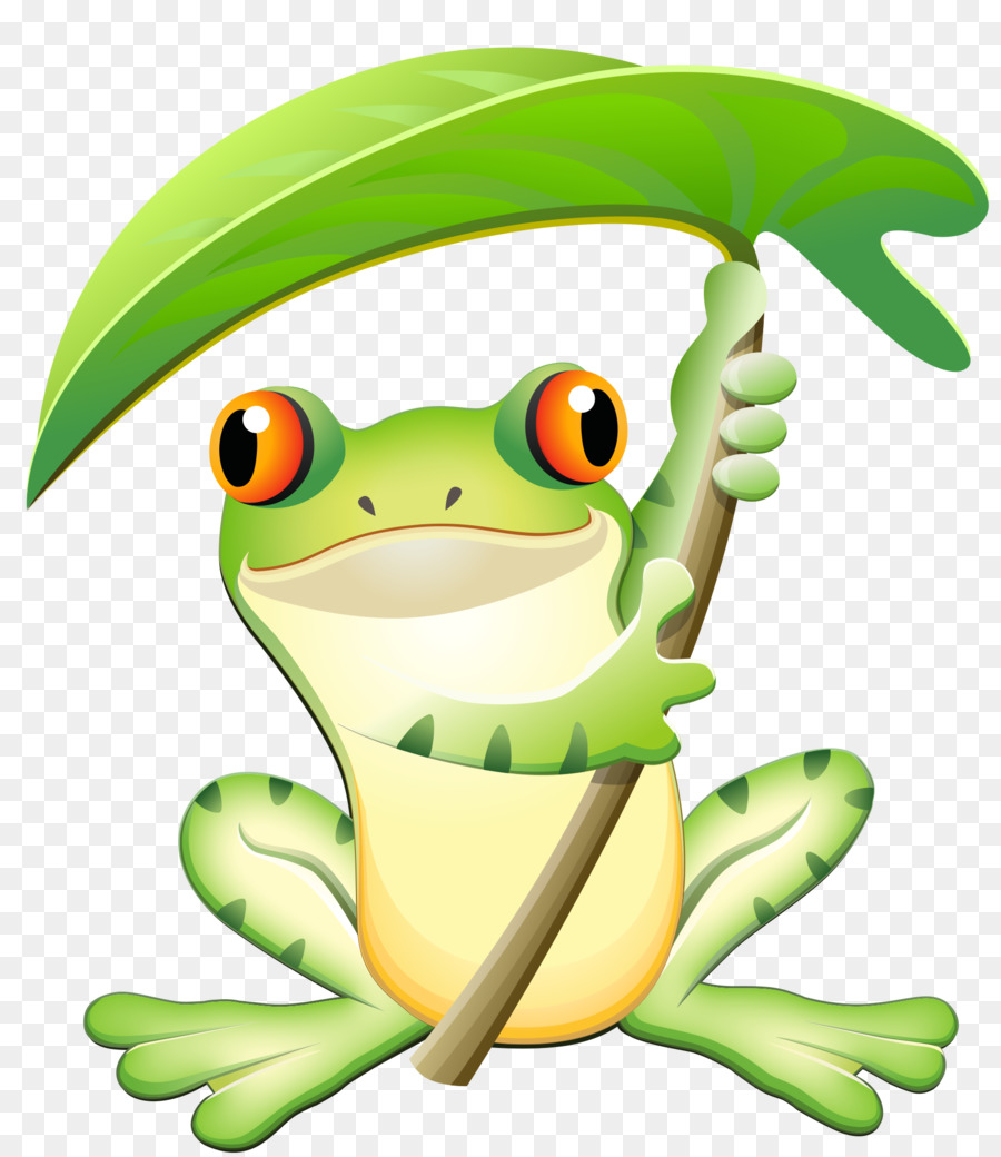 Sapo，Tree Frog PNG