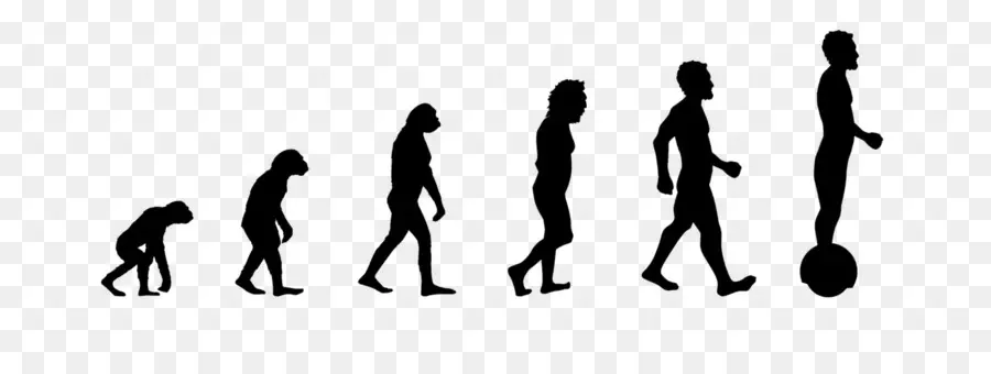 Evolução Humana，Evolução PNG