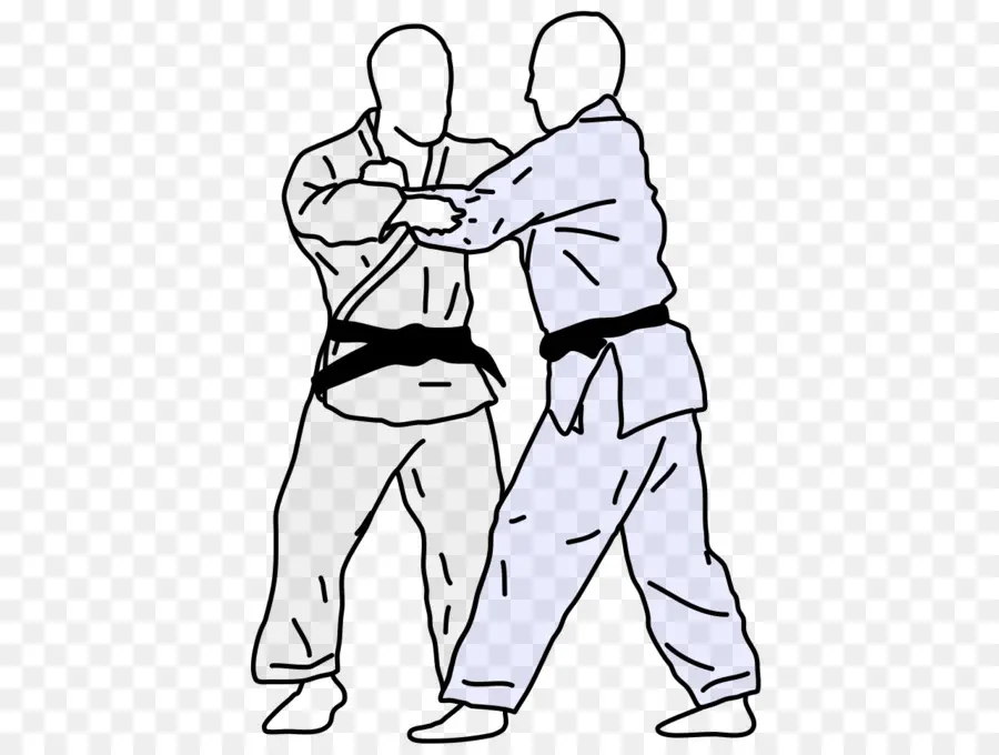 Ilustração De Artes Marciais，Artes Marciais PNG