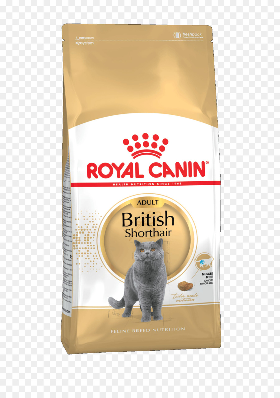 British Shorthair，Comida De Gato PNG