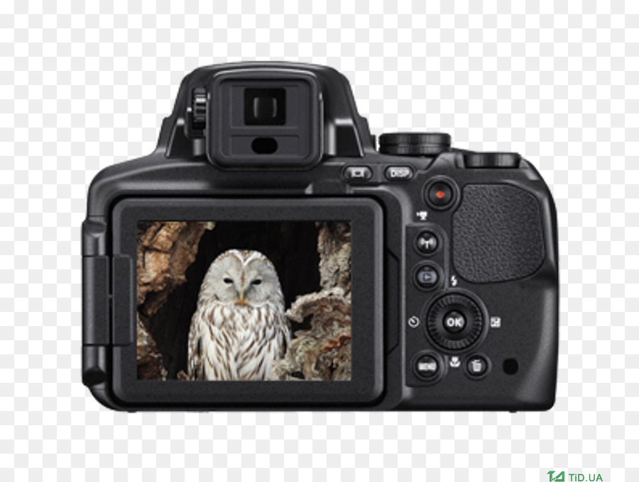 Canon Powershot Sx60 Hs，Nikon Coolpix P900 Câmera Digital Black PNG