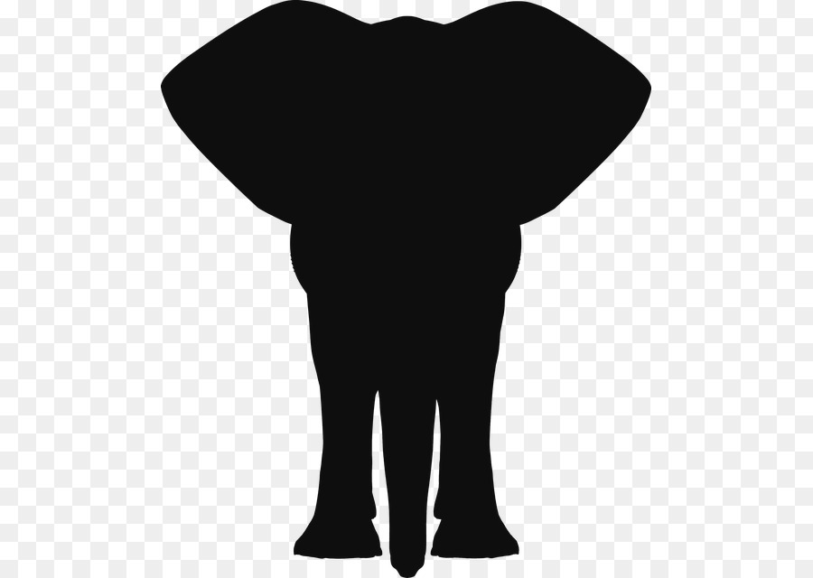 Elefante Africano，Elefantes PNG