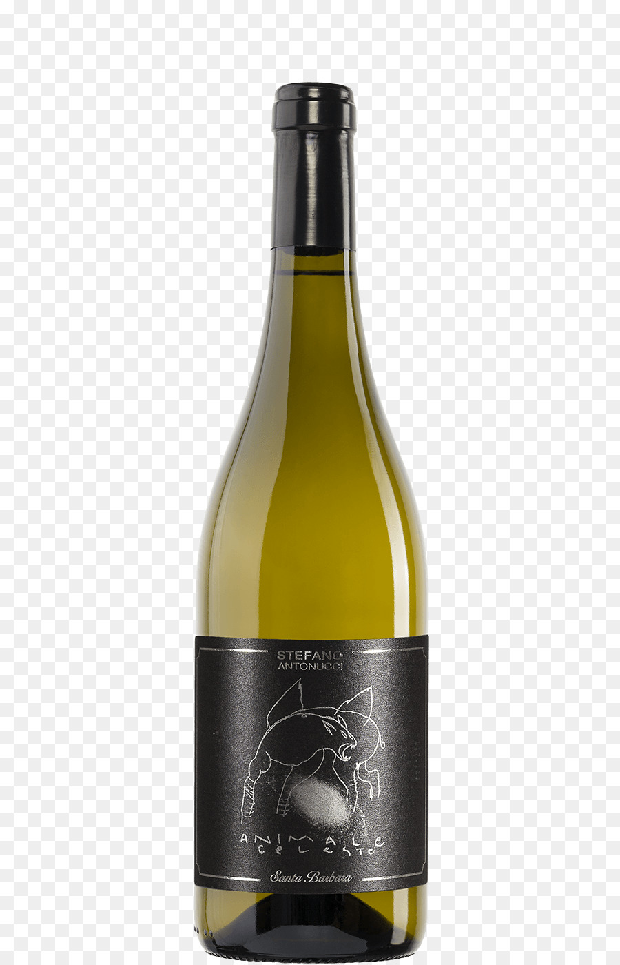 Vinho Branco，Vinho PNG