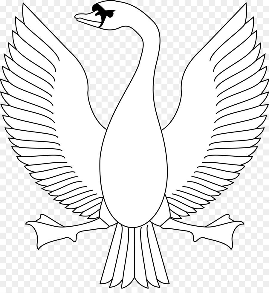 Contorno Do Cisne，Cisne PNG