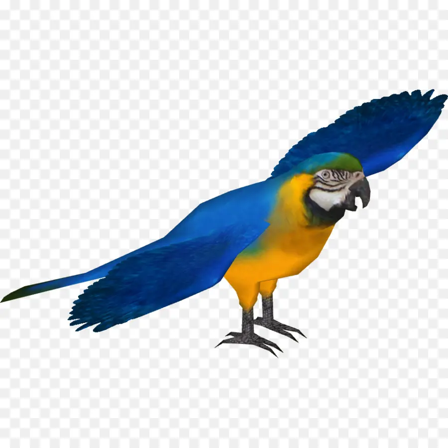 Arara，Blueandyellow Arara PNG