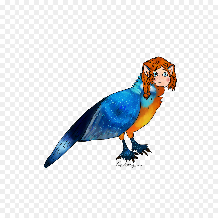 Virgerigar，Macaw PNG