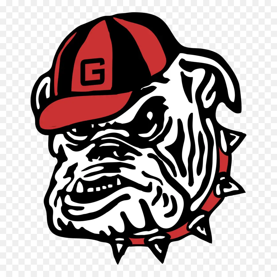 Georgia Bulldogs Futebol，Georgia Bulldogs Basquete Masculino PNG
