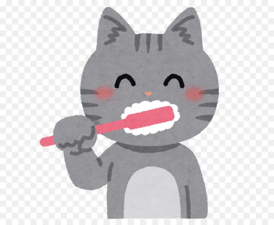 Gato，Escovar Os Dentes PNG