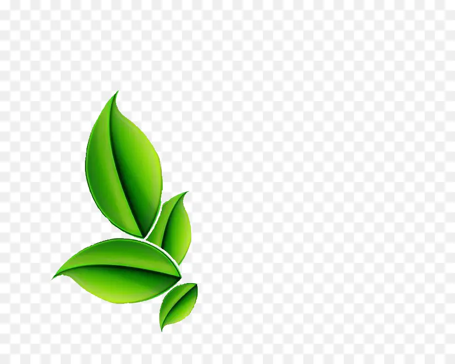 Plantas Verdes，Folhas PNG