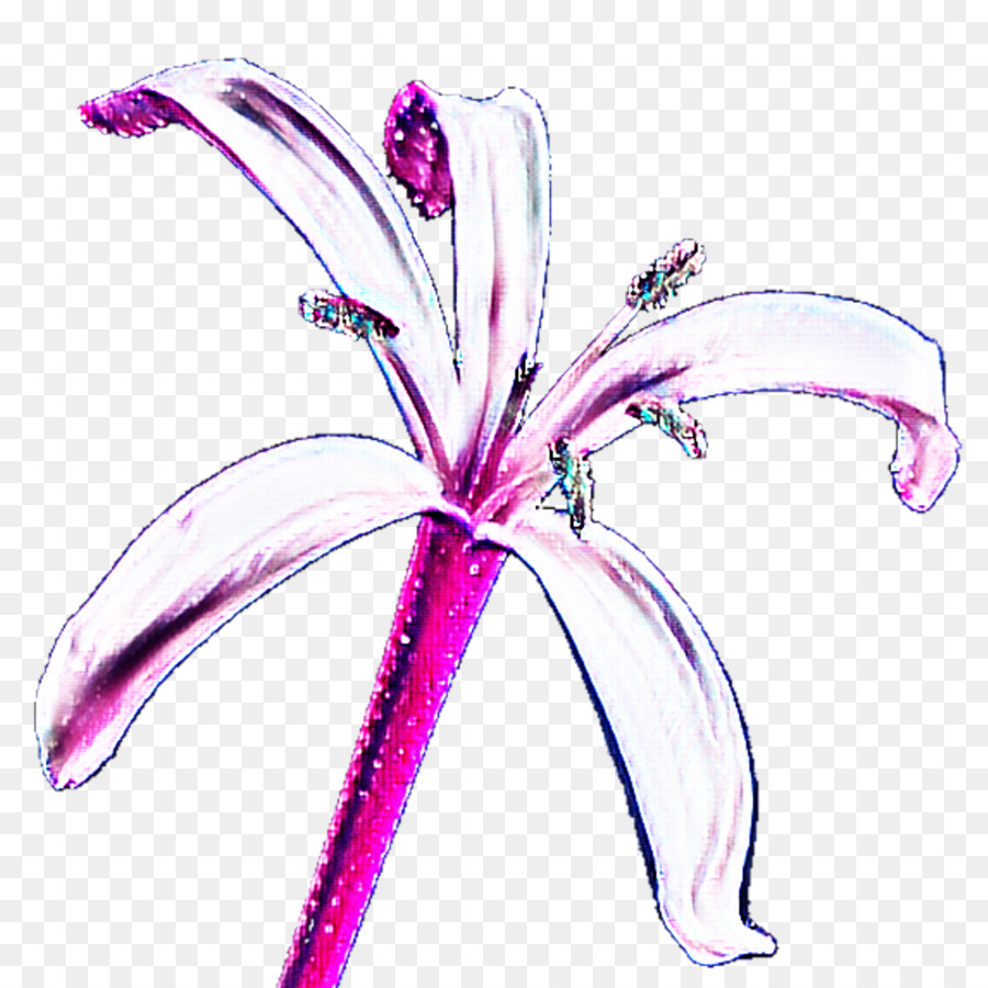 Flor Vermelha，Pétalas PNG