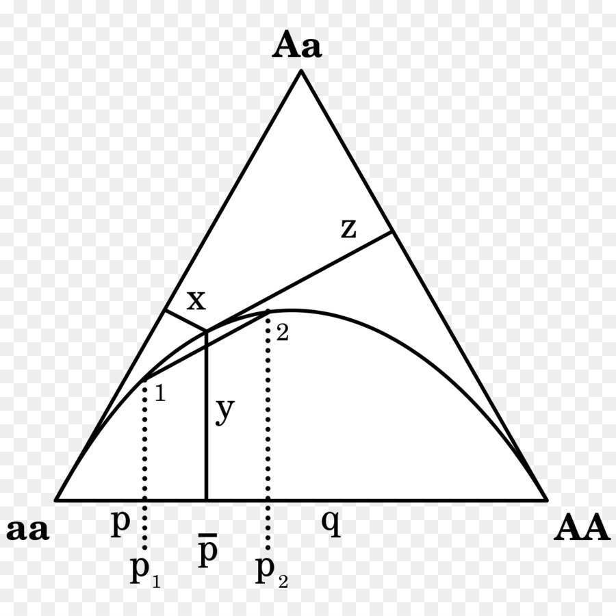 Diagrama De，De Finetti Diagrama De PNG