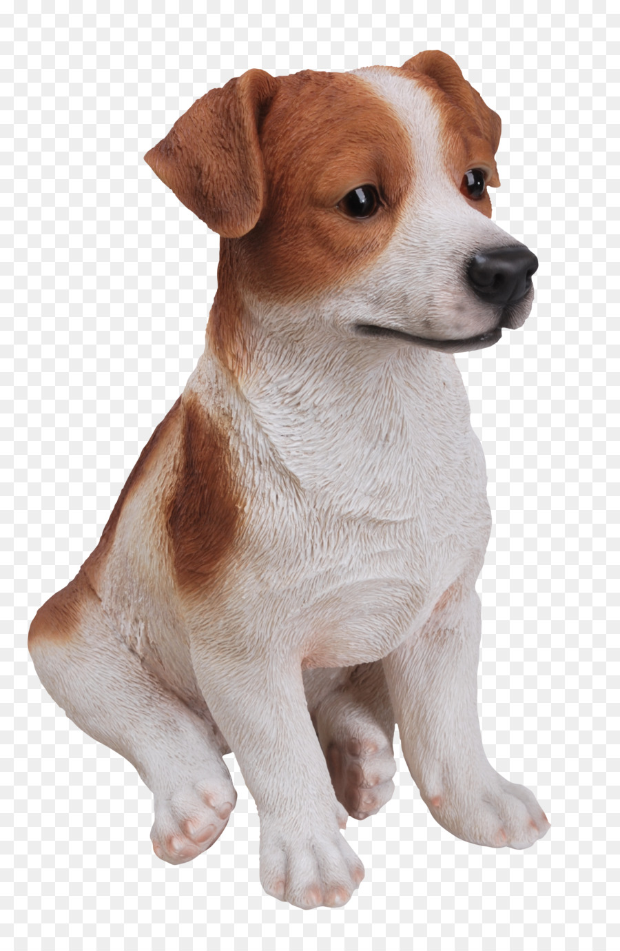 Jack Russell Terrier，Parson Russell Terrier PNG