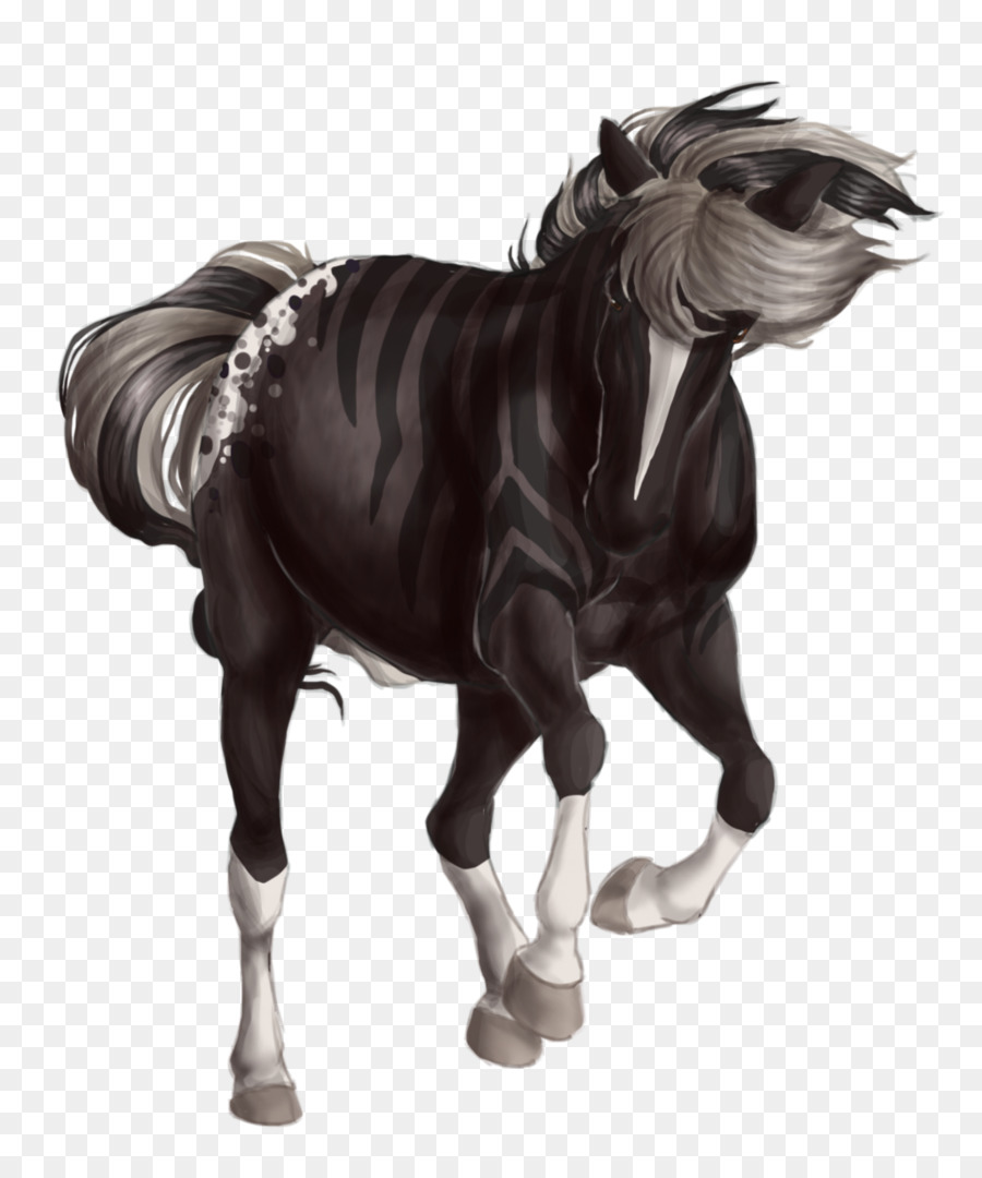 Cavalo Preto，Equino PNG