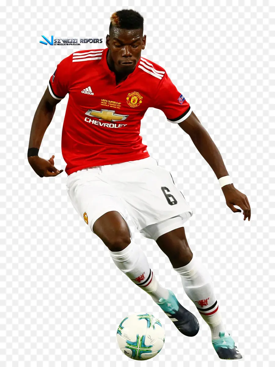 Paul Pogba，Copa Do Mundo De 2018 PNG