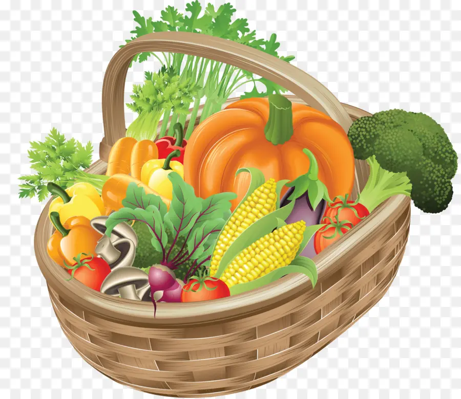 Vegetal，Alimentos Orgânicos PNG