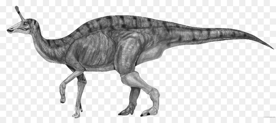 Tsintaosaurus，Iguanodontia PNG