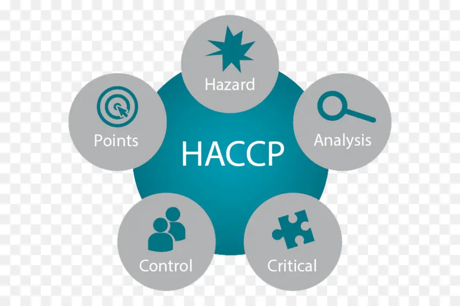 Diagrama Haccp，Segurança Alimentar PNG