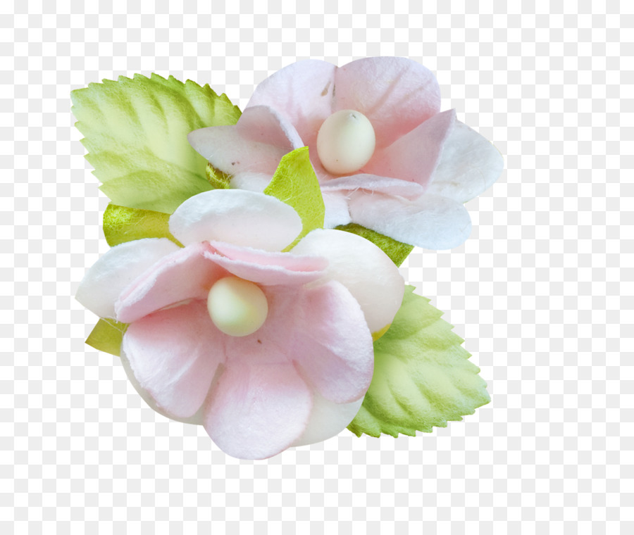 Flores Cor De Rosa，Florescer PNG