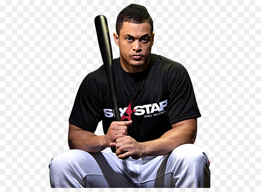 Giancarlo Stanton，Nova York Yankees PNG