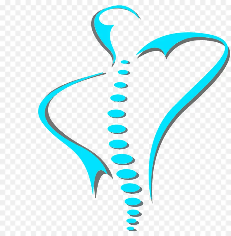 Coluna Vertebral，Quiropraxia PNG