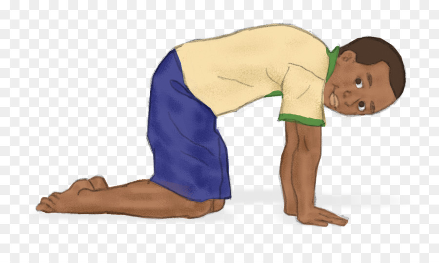 Yoga，Gato PNG
