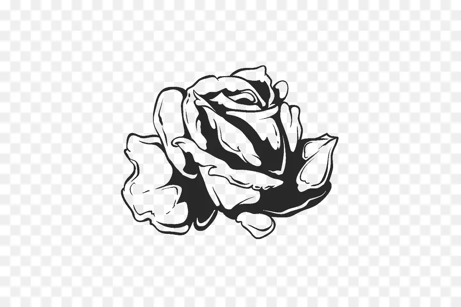 Rosa，Florescer PNG