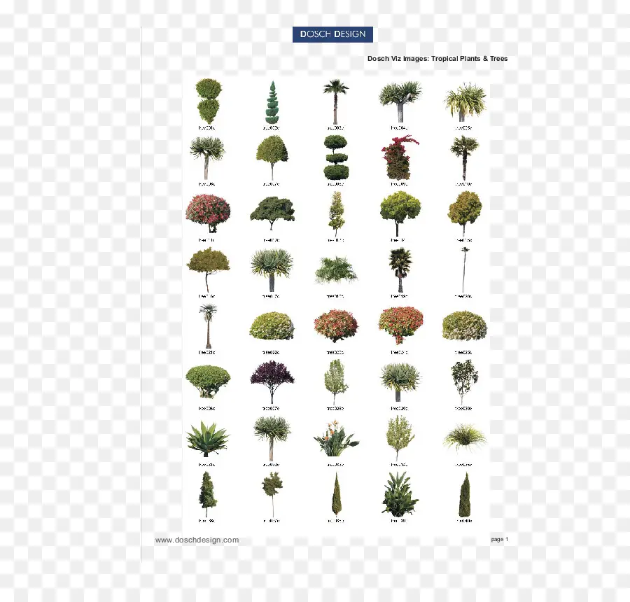Plantas，árvore PNG