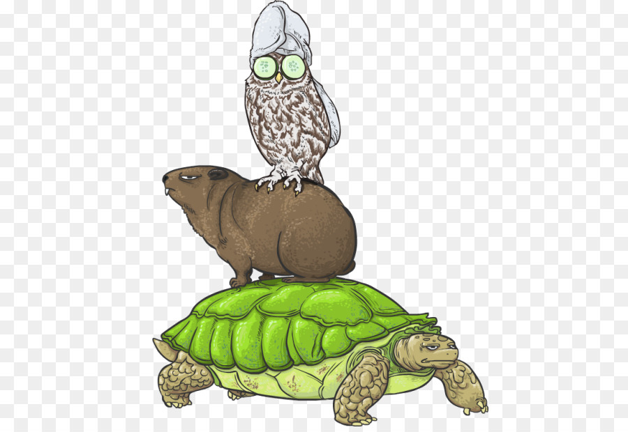 Caixa De Tartarugas，Turtle PNG