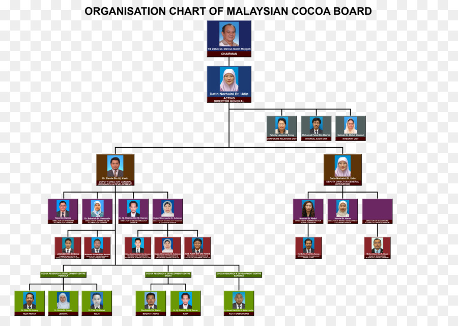 Marca，Organização PNG