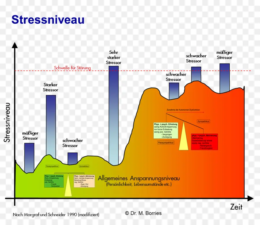 Gráfico De Nível De Estresse，Gráfico PNG