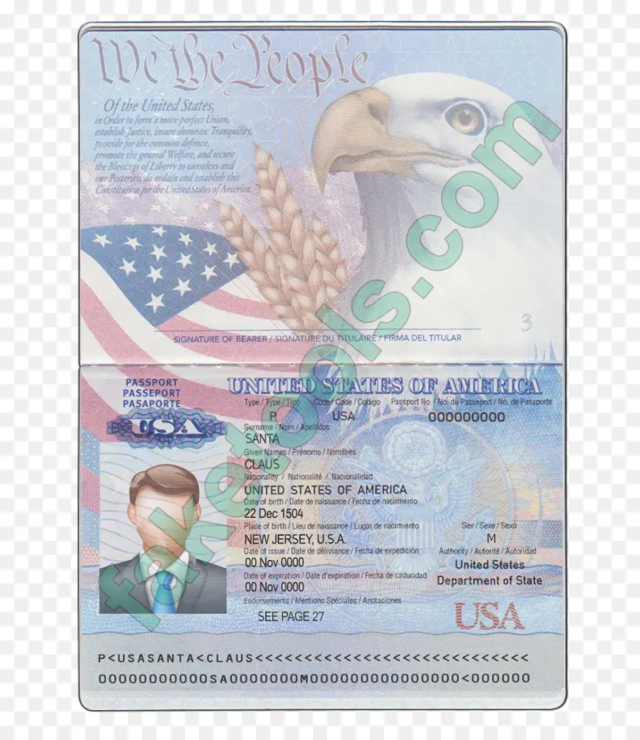 Passaporte Dos Eua，Americano PNG