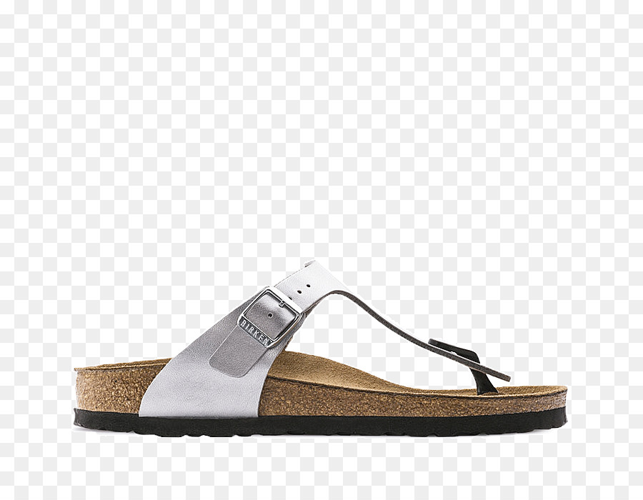 Chinelo，Birkenstock PNG