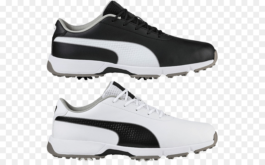 Puma，Golfe PNG